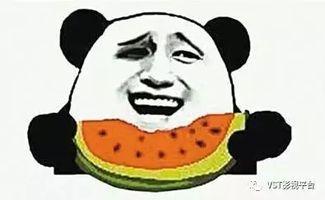 吃瓜群众与地主家的瓜园,一场别开生面的田园之旅