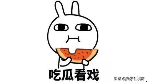 吃瓜管理员,网络舆论场中的幕后推手