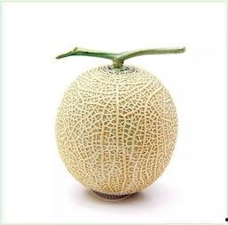 吃瓜令,吃瓜群众眼中的明星幕后故事