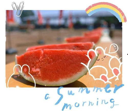 吃瓜令,吃瓜群众眼中的明星幕后故事