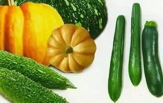 吃利川的瓜吃恩施的瓜