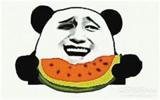 吃瓜群众小祁,揭秘娱乐圈那些事儿