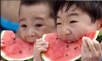 晚上给你吃瓜,揭秘娱乐圈幕后故事