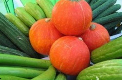 吃瓜菜系,探寻吃瓜菜系的独特魅力与丰富口感