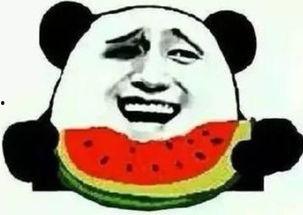 xs吃瓜群众,揭秘娱乐圈幕后风云