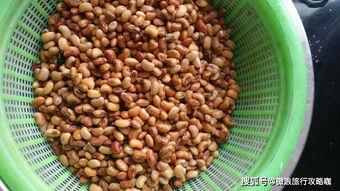 日照蓝山吃瓜,清凉一夏，尽享田园风情