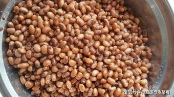 日照蓝山吃瓜,清凉一夏，尽享田园风情