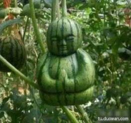 跟朋友见面吃瓜,揭秘吃瓜背后的故事