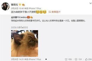 吃瓜扒姐微博,娱乐圈幕后真相大曝光