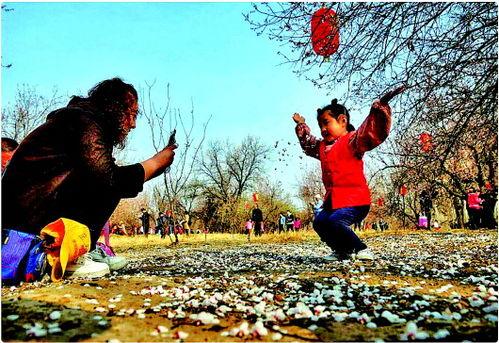 商河怀仁吃瓜,瓜田里的欢乐时光