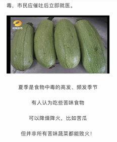 江苏种的白瓜怎么吃的,江苏白瓜的多样食法探索