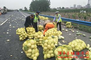 许昌吃瓜一人挣钱4人花