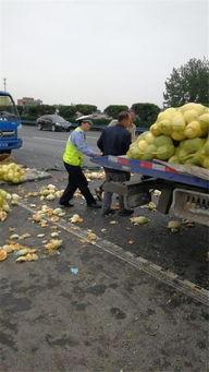 许昌吃瓜一人挣钱4人花