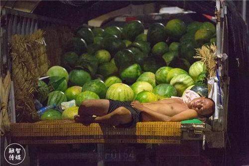 许昌吃瓜一人挣钱4人花