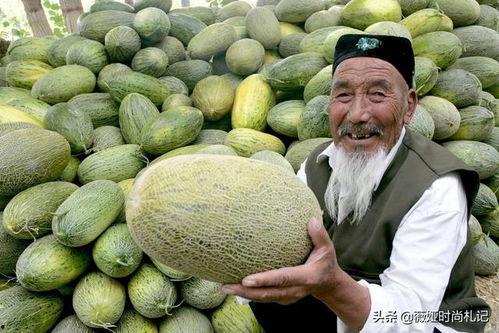 吃不惯哈密瓜,探索为何有人吃不惯