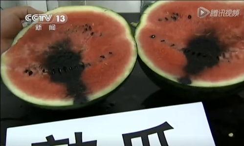 吃瓜有料完整视频,带你走进视频背后的精彩故事