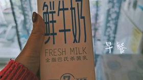 每日打卡吃瓜,瓜田里的欢乐时光