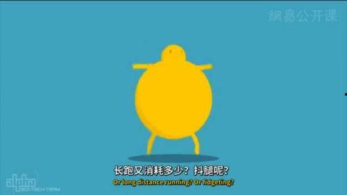 每日打卡吃瓜,瓜田里的欢乐时光