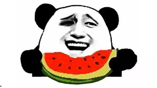 吃瓜宗主,瓜界传奇的崛起与辉煌