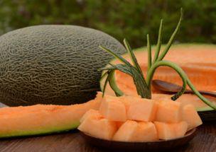 吃哈密瓜不尿频,神奇水果，告别尿频困扰