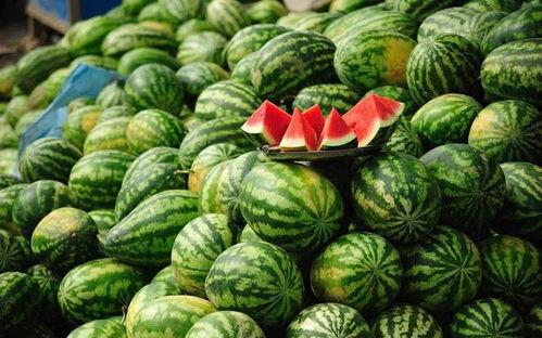 寒吃瓜,冬日里的清凉小确幸