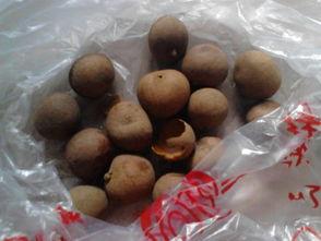 禾野玫瑰吃瓜,揭秘娱乐圈的“吃瓜”风云