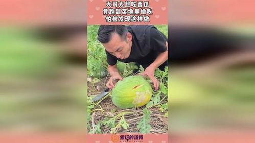 探索哥吃瓜,揭秘娱乐圈那些不为人知的幕后故事