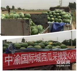 太原国际城吃瓜,揭秘网红美食聚集地的吃瓜盛况