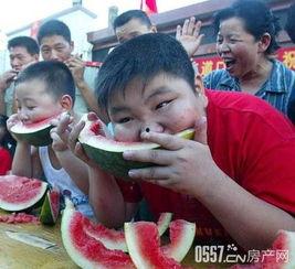 尽兴吃瓜,揭秘娱乐圈幕后真相