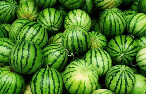 夏天吃那四瓜,西瓜、黄瓜、苦瓜、冬瓜，清凉一夏！