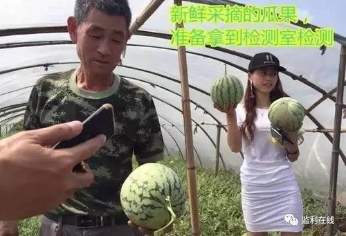 广东深圳吃瓜直播,吃瓜群众围观美食盛宴