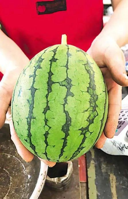 青岛最近吃瓜,近期热点事件大盘点