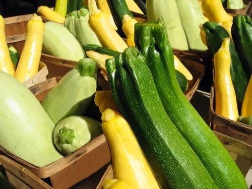 罗定吃瓜,揭秘当地特色美食背后的故事