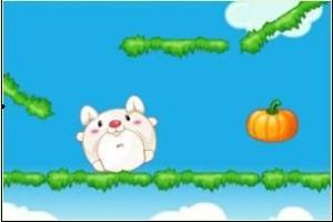 兔子吃瓜叶,绿色营养新选择