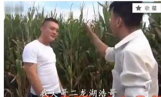 二龙湖浩哥吃瓜跑人毛,揭秘网络热梗背后的故事