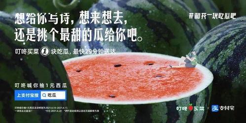 吃瓜比拼文案怎么写,一场吃瓜比拼的文案盛宴