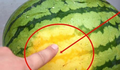 只会吃瓜不思考,吃瓜群众视角下的娱乐圈风云录