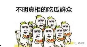 吃瓜撞人,揭秘娱乐圈背后的真实故事