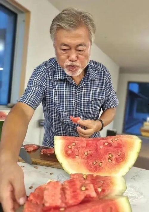 东北吃瓜大叔