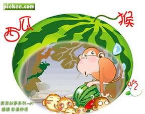 猴儿吃瓜的道理
